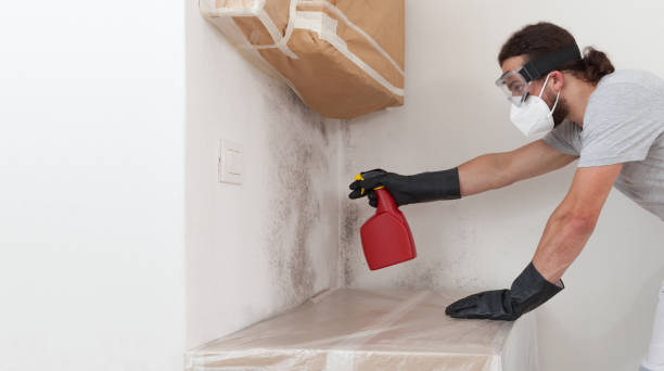 Professional Black Mold Removal technician working in Clarksburg, MD