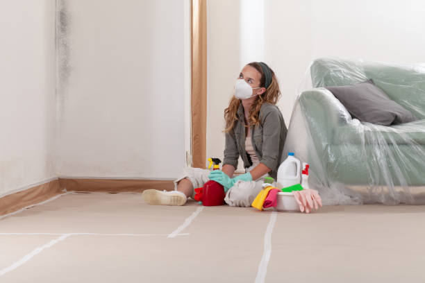Reliable Black Mold Removal contractor in Clarksburg, MD by WQB Mold Removal